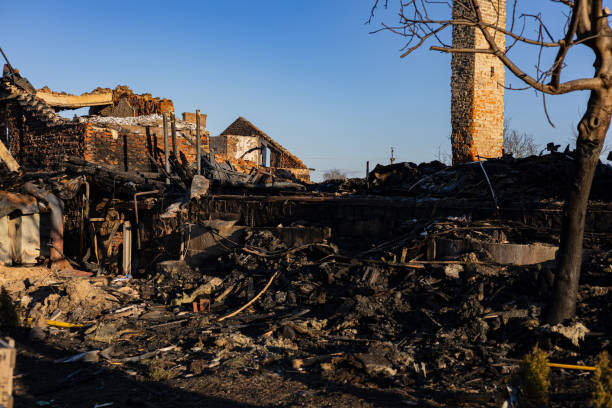 Reliable Fire Damage Restoration contractor in Clearwater Beach, FL by Fire Damage Flint